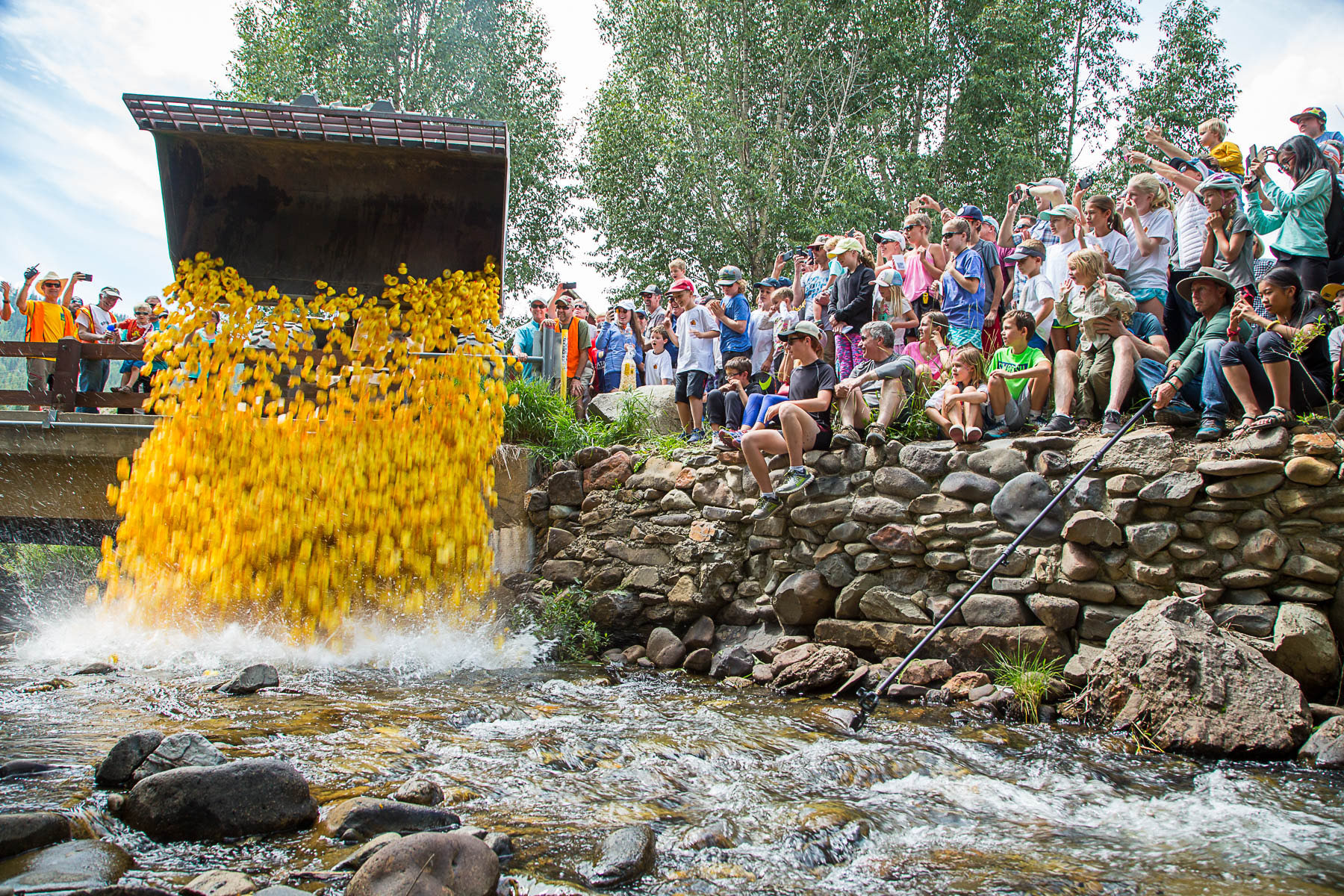And the race begins at the Crested Butte Rotary Rubber Ducky Race.