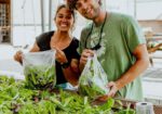 Mountain Roots Food Project - Gunnison Crested Butte Colorado