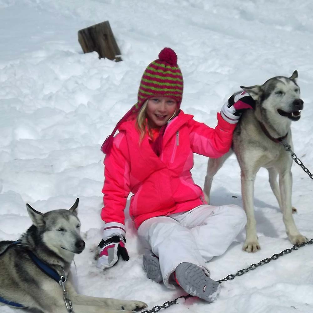 Cosmic Cruiser Sled Dog Tours - Crested Butte Colorado